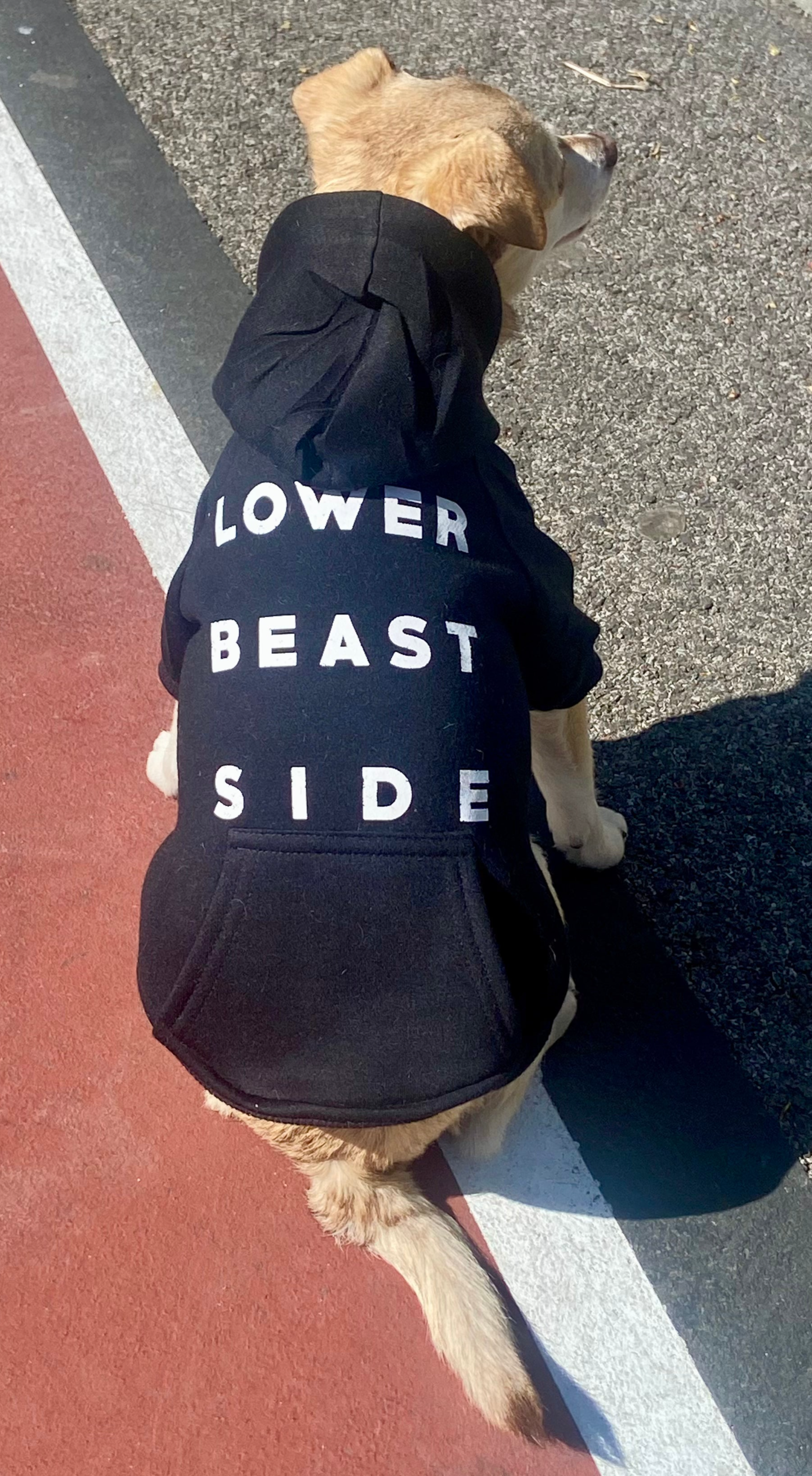 LBS Dog Hoodie With Snaps