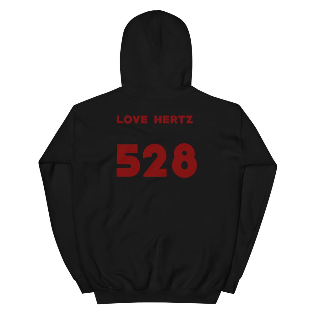 LOVE HERTZ UNISEX HOODIE