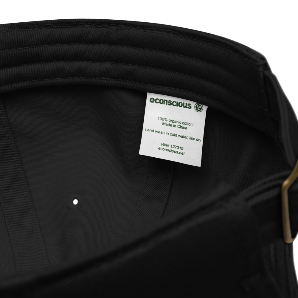 EAST VILLAIN ORGANIC DAD HAT